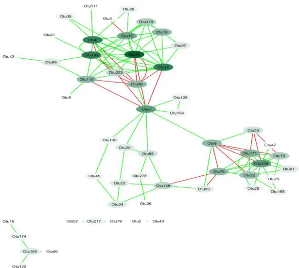 Figure 3.  Network of interactions in the fungi forming the core microbiome of canola