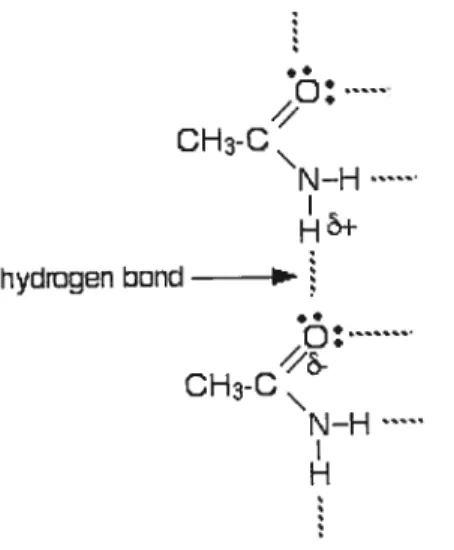 Figure 1: Example of hydrogen bond between a hydrogen atom and nitrogen or oxygen atoms.
