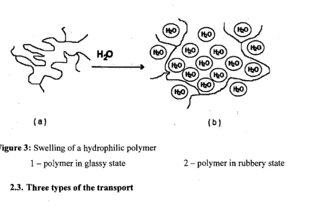 Figure 3:  Swelling of a hydrophilic pol ymer 