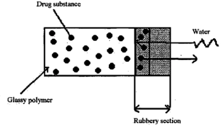 Figure  6:  Simplified release mechanism of a limited swelling matrix system 