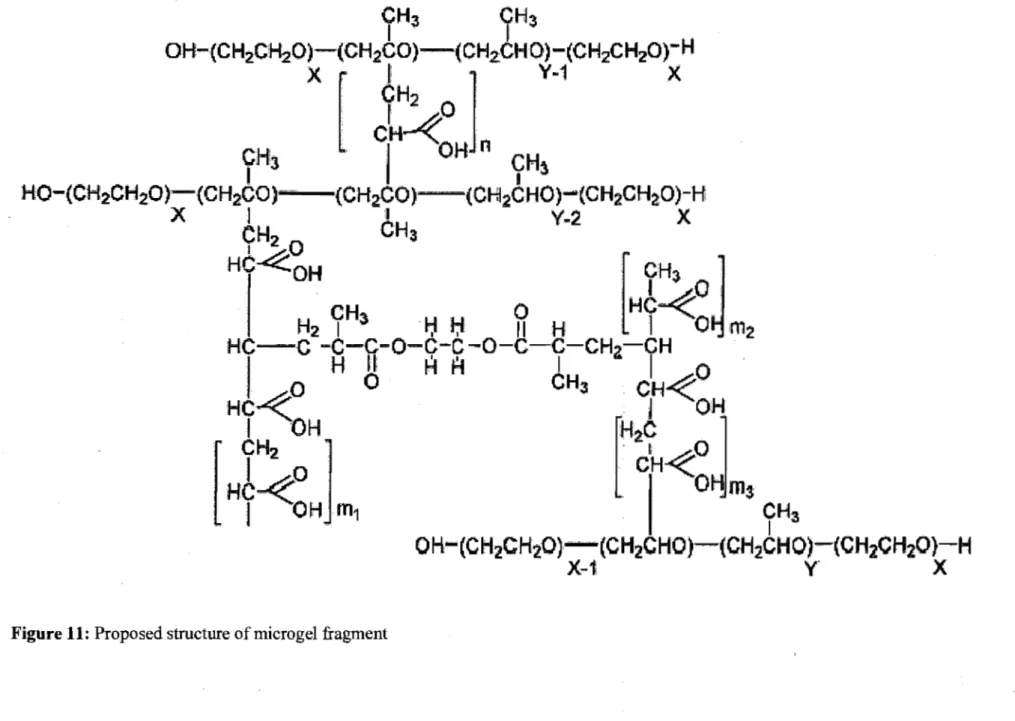 Figure Il:  Proposed structure of microgel fragment 