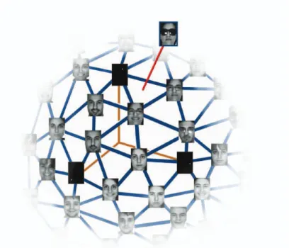 Figure 2.9: Illustration of the SRC algorithm in case of occlusion occurs: an (well aligned) occluded face can be expressed by a linear combination of faces in the gallery plus the measurement of  erro-neous on each pixel location