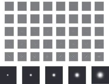 Figure 3.4: Real part of the 40 Gabor wavelets and their magnitudes in five scales.