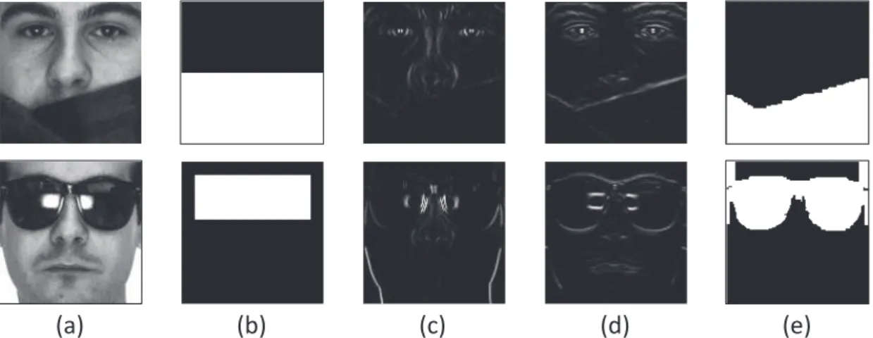 Figure 3.8: Illustration of our occlusion segmentation: (a) examples of faces occluded by scarf and sunglasses; (b) initial guess of the observation set according to the results from our occlusion  de-tector; (c)(d) are the visualization of u(i, j) in hori