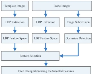 Figure 3.9: Flowchart of applying occlusion detection to improve LBP based face recognition under occlusion conditions.