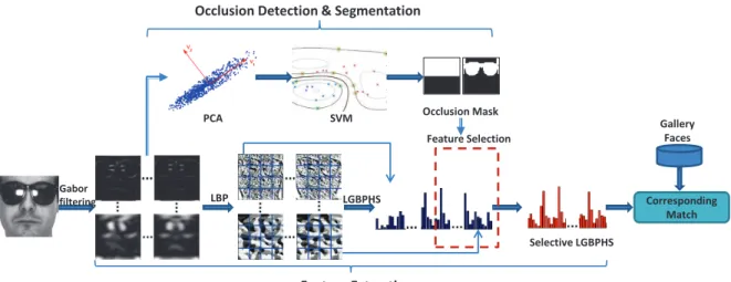 Figure 3.13: Illustration of the proposed selective-LGBPHS approach for face recognition in occluded conditions.