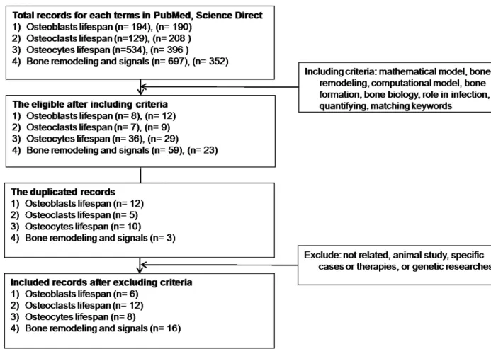 Figure   4.1. Flowchart of the review method steps to identify the parameters of bone cells and  signals
