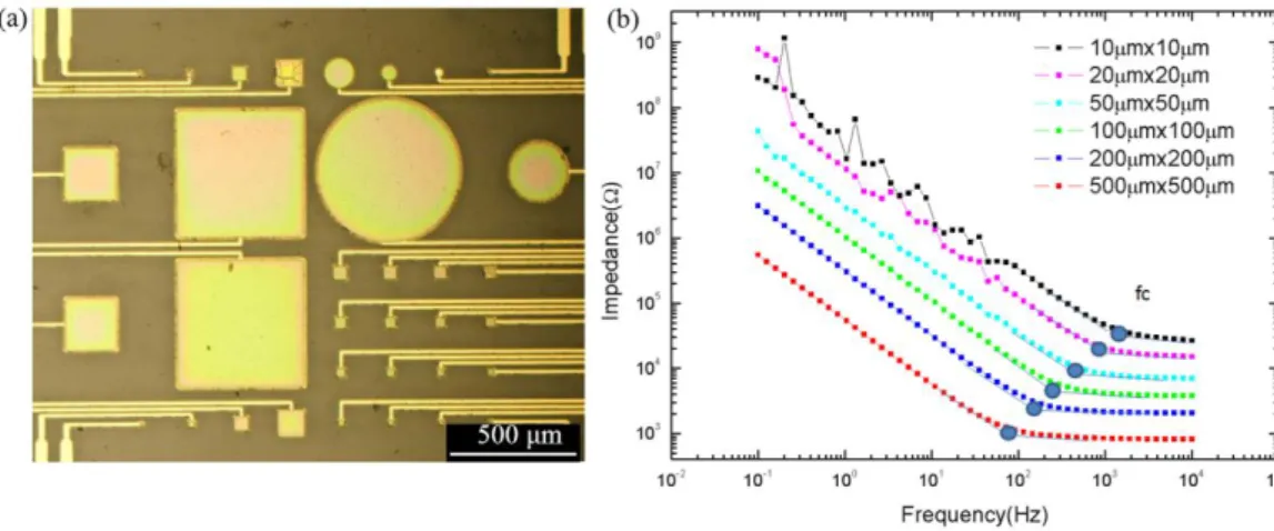 Figure  2.8:  (a)  Optical  microscope  picture  of  the  PEDOT:PSS  covered  electrodes