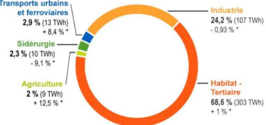 Figure i-5 – Répartition de la consommation finale d’ électricité par secteur en France en 2013, d’après le  Service de l'observation et des statistiques (Chiffres clés de l’énergie 2014) *par rapport à 2012 