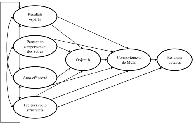 Figure 2-3-Modèle sociocognitif adapté de Bandura (1986) par Thøgersen et Grønhøj (2010) 