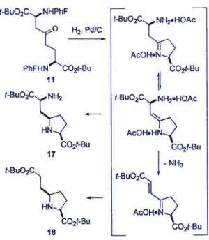 Figure 3. Proposed Mechanism for Loss of Amine During Reductive Amination of 11