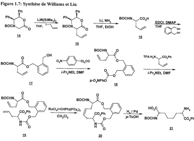 Figure 1.7: Synthèse de Williams et Liu