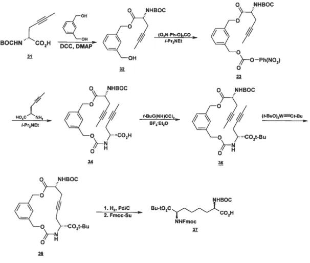 Figure 1.11: Synthèse de l’acide 2,7-diaminosubérique via la construction d’un macrocycle par Aguilera et al