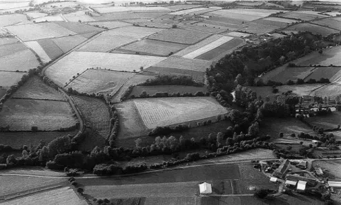 Figure 3 : vue du site de la Ségourie au Fief-Sauvin. (cl. C. Lambert, archives service régional de l’archéo- l’archéo-logie Pays-de-la-Loire)