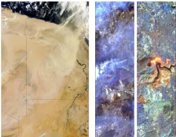 Fig. 5: SPOT 5: left image: Naples 4 at 5 m resolution and right image: 