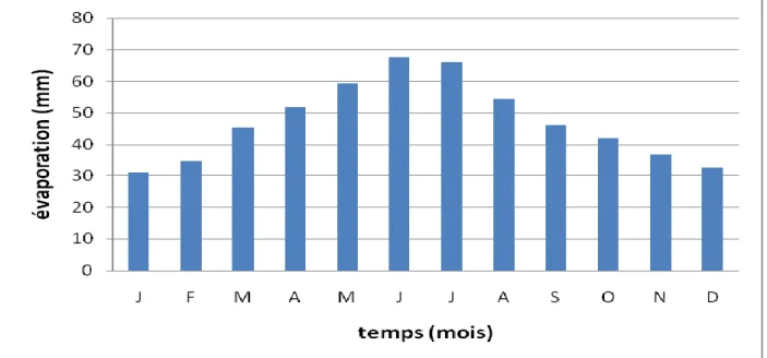 Figure I.6: Répartition Moyenne mensuelle interannuelle d'évaporation de 2000 à 2013. 