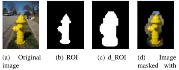 Figure 3: For a given image (a), if we observe only the color information (b), we cannot identify the main object in the scene (hydrant)