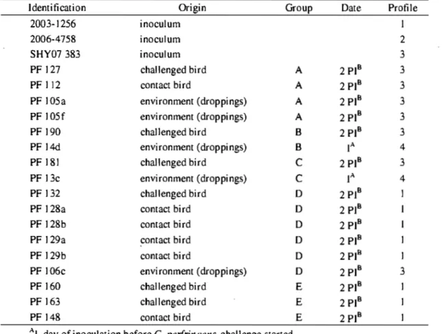 Table 7.  Pulse field gel electrophoresis of  C.  perfringens strains isolated during the trial