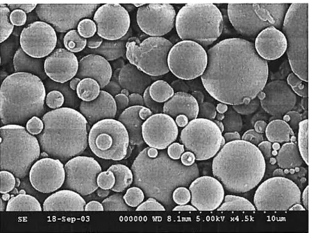 Figure 4. Scanning electron micrograph of 65:35 PLGA microspheres generated by double emulsion solvent evaporation method.