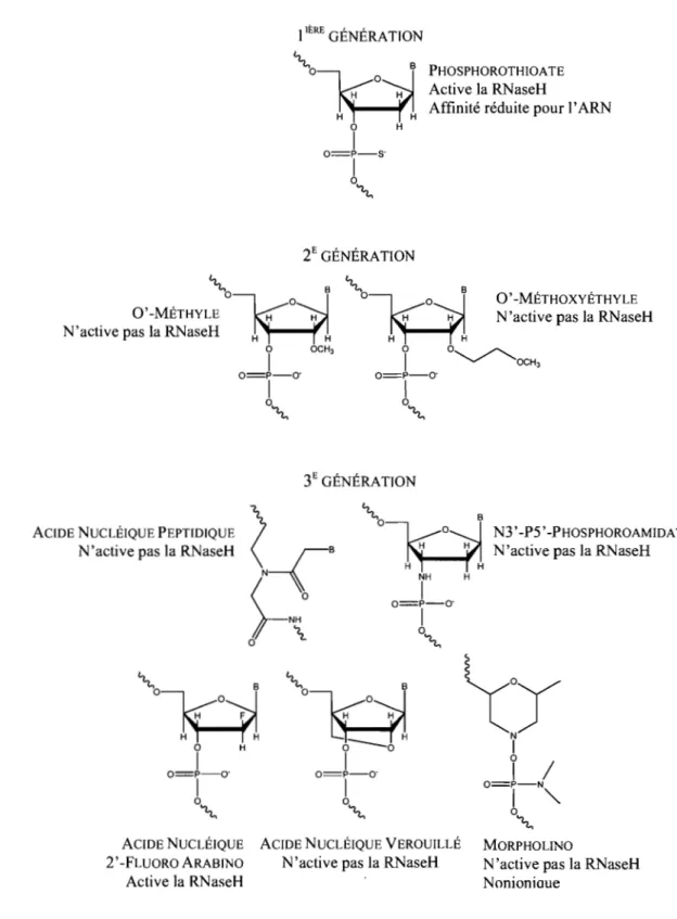 Figure 2-3. Dérivés d'acides nucléiques. 