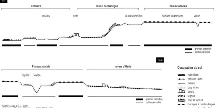 Fig. 4 - Taille des parcelles entre l’estuaire de la Loire et la vallée de l’Isac : une distribution calquée sur le profil du relief