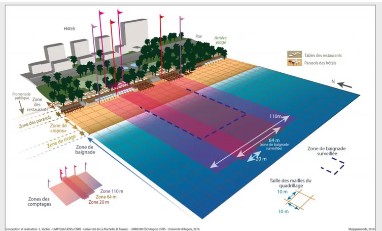 Figure 3. Zones de comptage et conﬁguration de la plage de Dadonghai à Sanya (Hainan, Chine)