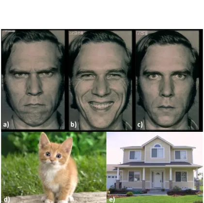 Figure 1. Examples of stimuli presented: a) Angry face; b) Happy  face; c) Neutral face; d) Animate control; e) Inanimate control