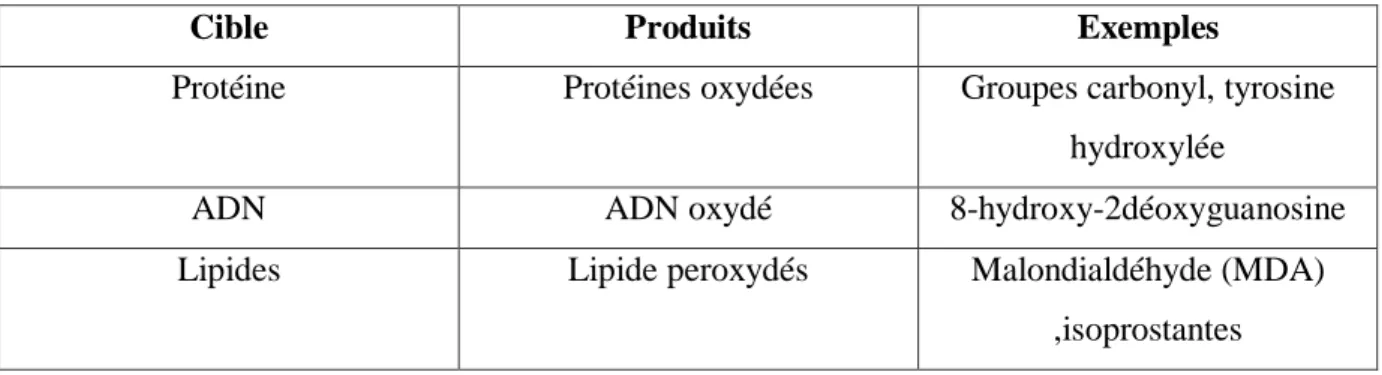Tableau  03  : Exemple  de  produits  dosés  couramment  pour  rendre  compte  de  l‟oxydation  d‟une  cible  moléculaire donnée.(KHOLKHAL