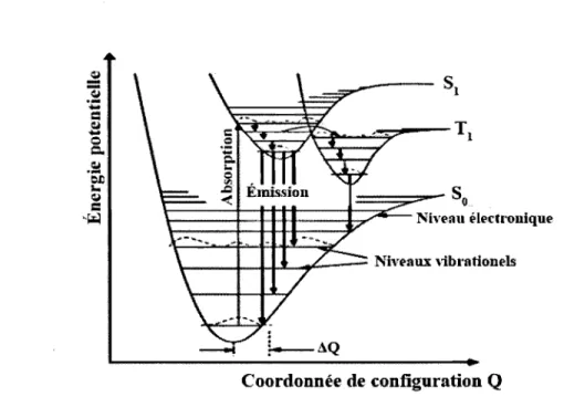 Figure  2.5  - Les  énergies  potentielles  des  niveaux  électroniques  et vibrationels  d'une  molécule en fonction de la coordonnée de configuration