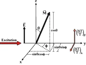 Figure 3.2 - Montage optique de l'oscillateur. 