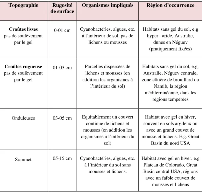 Tableau 02 : Les différents types des croutes biologiques (BELNAP, 2001) Topographie  Rugosité 