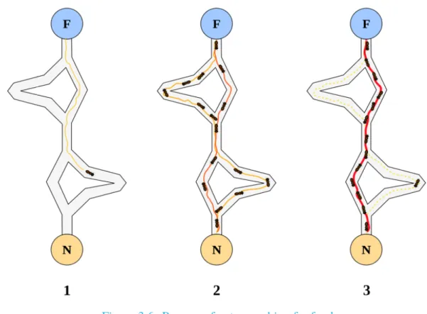 Figure 3.6 demonstrates the process of ants searching for food, where the colony nest is located at point “N” and the food source at point “F”
