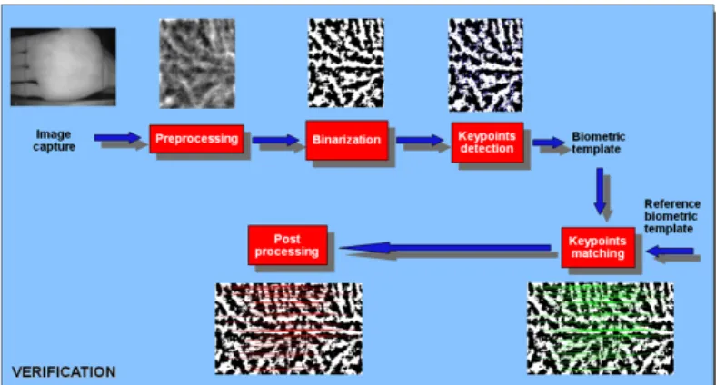 Figure 1: Synopsis of the developed method (verification step) 