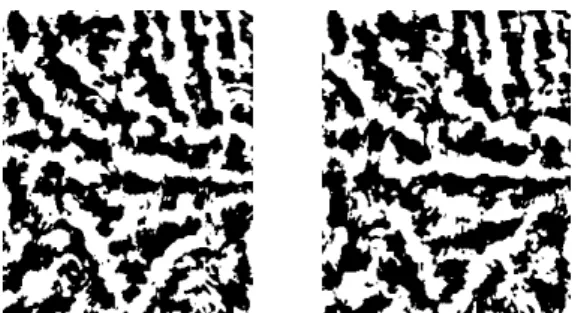 Figure 4: Examples of two binarized images corresponding to the same individual 