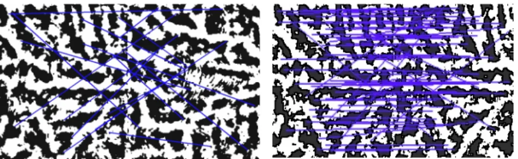 Figure  5  shows  an  example  of  matching  results  for  an  impostor  and  a  genuine