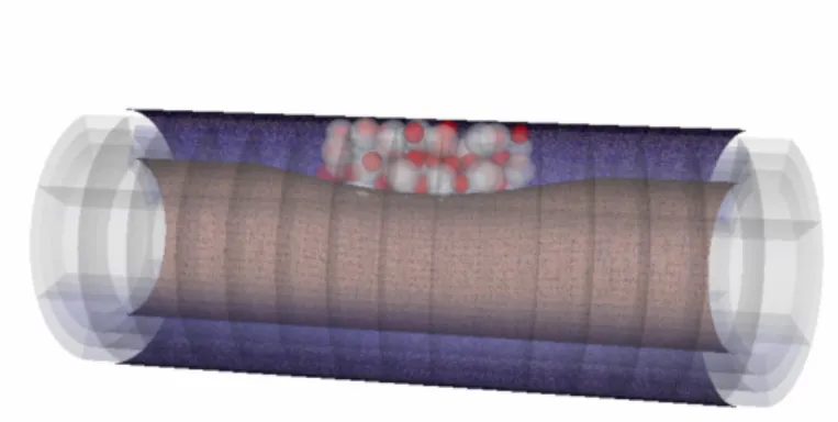 Figure 1: In Virtuo simulation of atherosclerosis using a MIS.