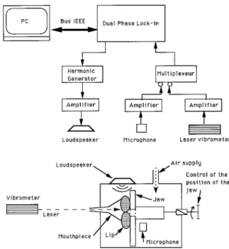 FIG. 4. A measured mechanical response of the lips. The value of the mechanical response magnitude ~decibel representation! is expressed in  ar-bitrary units