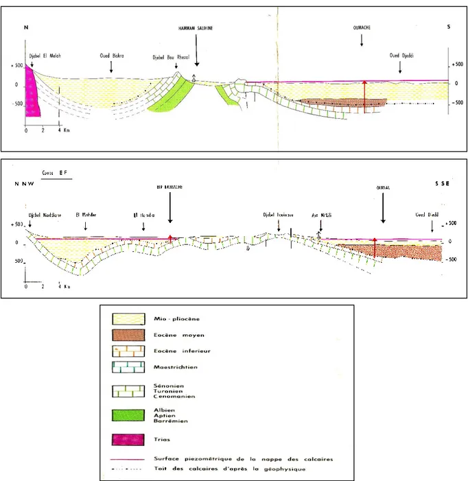 Fig III.4: Coupes hydrogéologique schématique de la région de Biskra. 