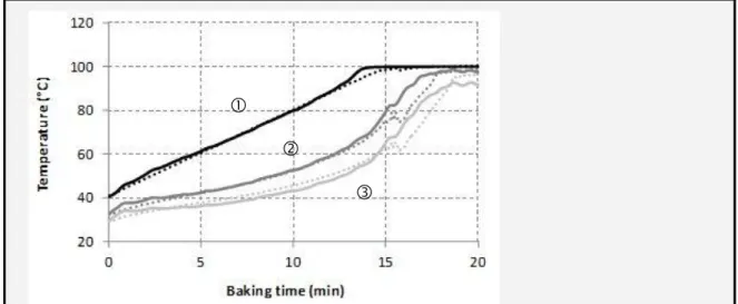 Figure  2.  Experimental  (dashed  lines)  and  numerical  results  (straight  lines)  for  the  temperatures: 