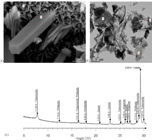 Fig. 11. Tobermorite and phillipsite precipitation at the interface: SEM image of honeycomb structure (1) pierced by  a phillipsite crystal (2) (a), TEM image with foil-like C-S-H (3), tobermorite (4) and C-S-H needle-like (5) (b), and 