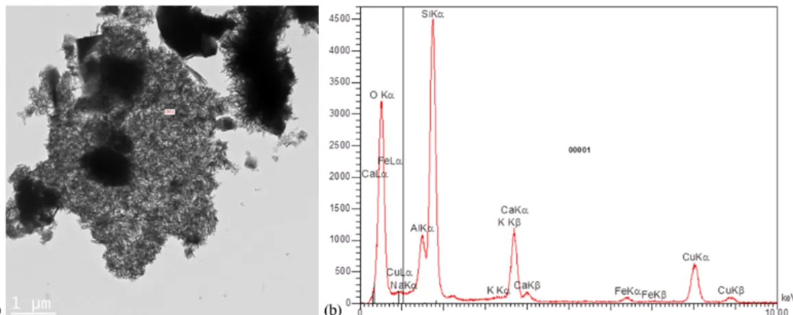 Fig. 12. TEM image of C-S-H from the separation surface (a) with Al content measured by TEM-EDS (b) indicating  the possible formation of C-A-S-H
