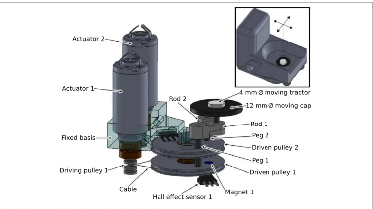 FIGURE 2 | HapTip dimensions and close up: (A) right side view, (B) up side view, and (C) close up on the tactor.