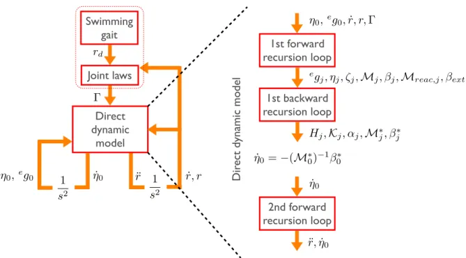 Figure 5: Schematic view of the direct dynamic model (DDM). The DDM computes the head segment accelerations and joint accelerations as a function of torques Γ, hydrodynamic forces F ext and the head state ( e g 0 , η 0 ).