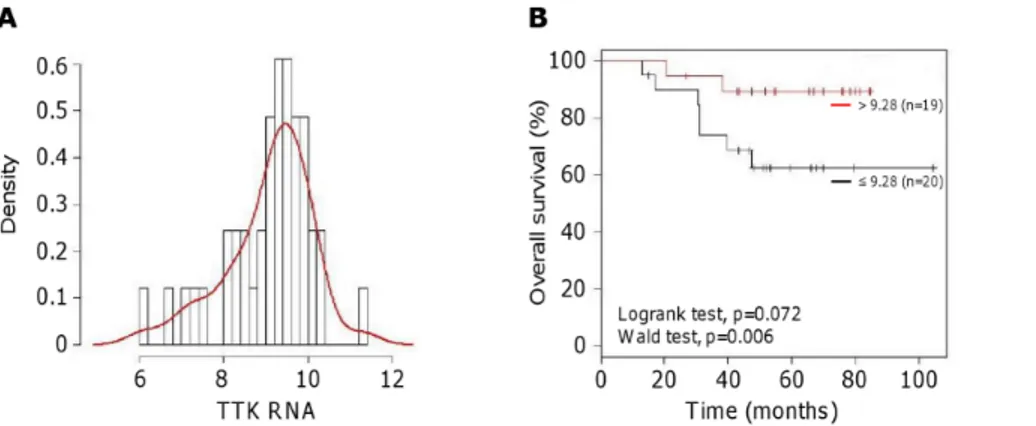 Figure 2. Correlation between TTK mRNA levels and overall survival in human triple-negative breast cancers