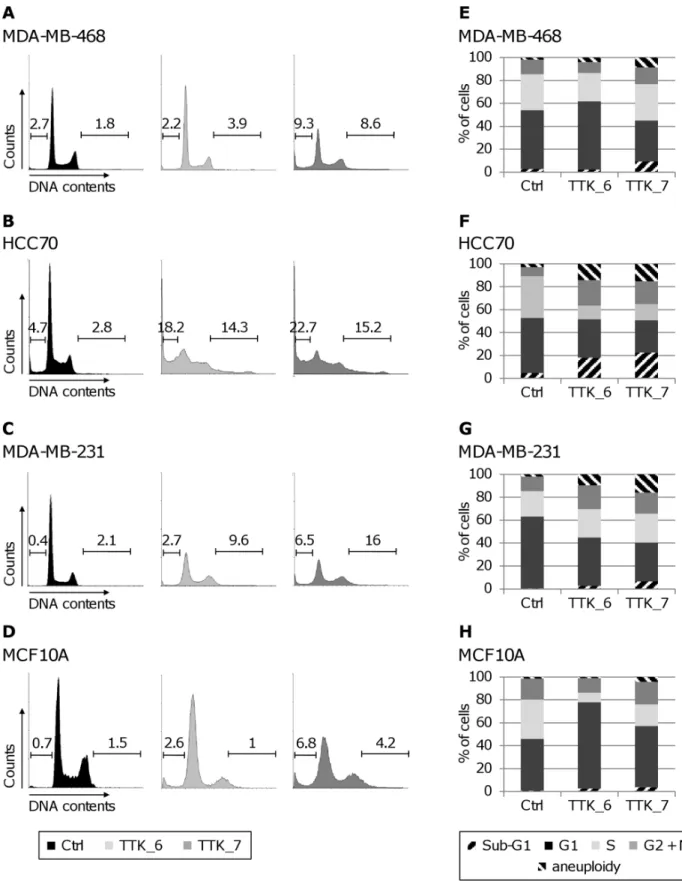 Figure 5. Depletion of TTK in triple-negative breast cancer cells affects cell cycle progression