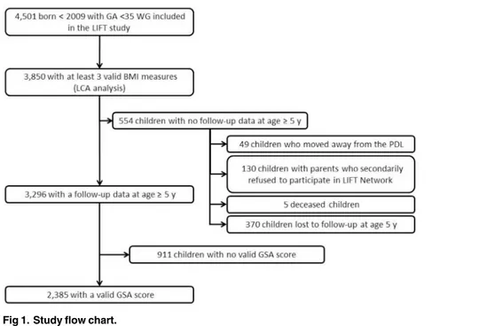 Fig 1. Study flow chart.