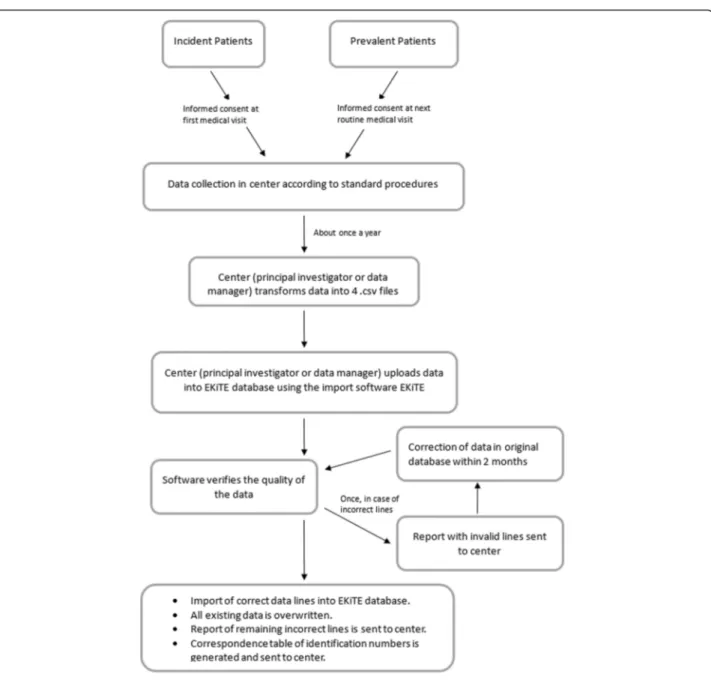 Fig. 1 Flowchart of data collection process