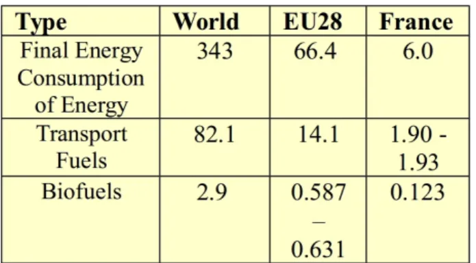 Table  4.   Final   energy   consumption   of   energy (EJ/year), transport fuels (EJ) and biofuels (EJ) for World, EU28 and France (Eurostat Energy Statistics, 2019)