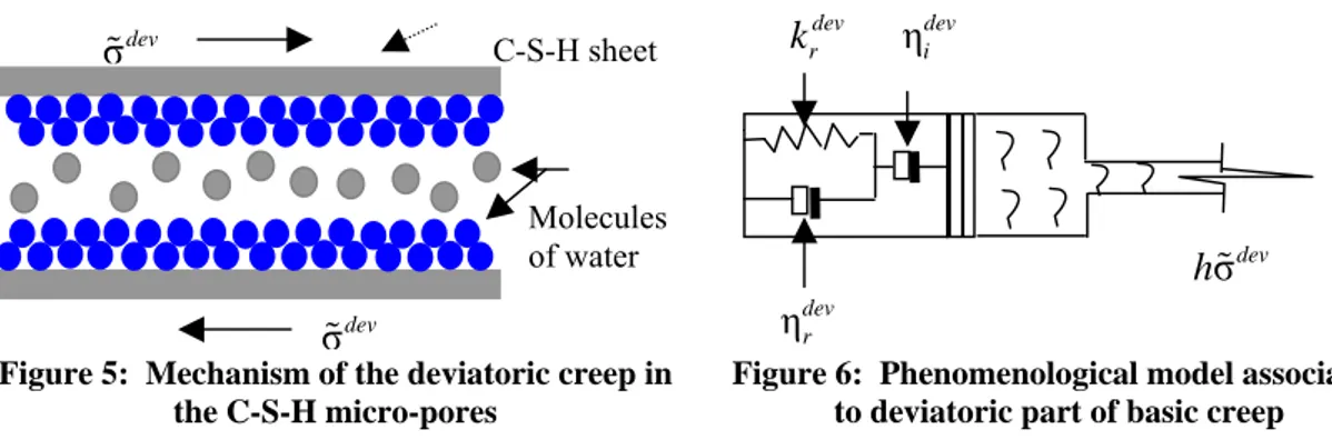 Figure 5:  Mechanism of the deviatoric creep in  the C-S-H micro-pores