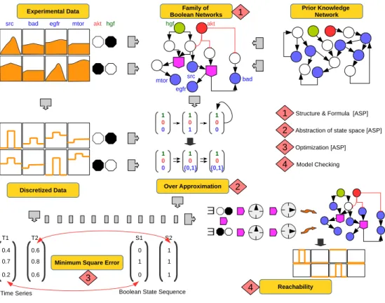 Fig 1. Generic workflow. Workflow illustrating the 4 step caspo-ts improved and adapted method used in this work